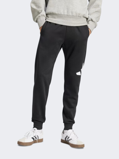 Спортивнi штани Adidas M BL FL TC PT - 175939, фото 1 - інтернет-магазин MEGASPORT