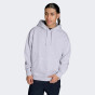 Кофта Converse GOLD STANDAARD HOODIE, фото 1 - інтернет магазин MEGASPORT