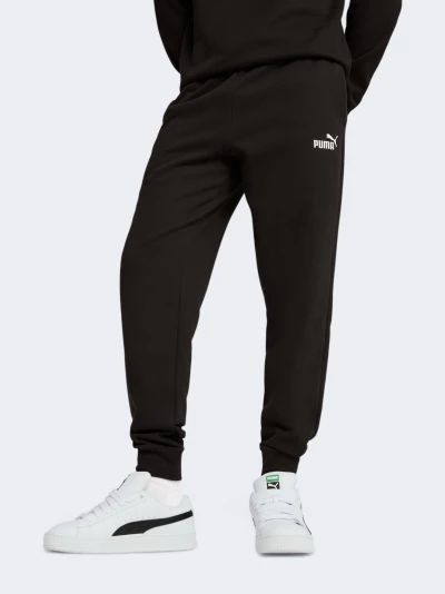 Спортивнi штани Puma ESS No. 1 Logo Sweatpants FL cl - 175587, фото 1 - інтернет-магазин MEGASPORT