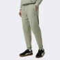 Спортивнi штани Puma ESS ELEVATED Pants FL cl, фото 1 - інтернет магазин MEGASPORT