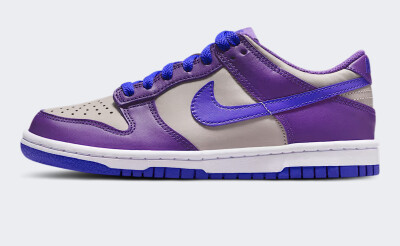 Кеди дитячі Nike DUNK LOW BG - 176102, фото 1 - інтернет-магазин MEGASPORT