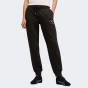 Спортивнi штани Puma CLASS Comfort Sweatpants FL cl, фото 1 - інтернет магазин MEGASPORT