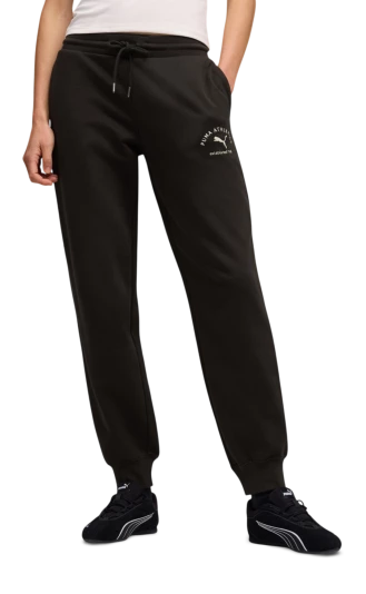 Спортивнi штани Puma CLASS Comfort Sweatpants FL cl - 176060, фото 1 - інтернет-магазин MEGASPORT
