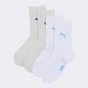 Шкарпетки Puma KIDS EASY RIDER SOCK 2P, фото 1 - інтернет магазин MEGASPORT