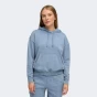 Кофта Puma ESS ELEVATED Relaxed Wash Hoodie FL, фото 1 - інтернет магазин MEGASPORT