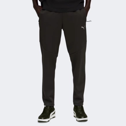 Спортивнi штани Puma EVOSTRIPE Warm Pants - 176230, фото 1 - інтернет-магазин MEGASPORT