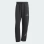 Спортивнi штани Adidas M Z.N.E. PR PT, фото 6 - інтернет магазин MEGASPORT