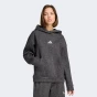 Кофта Adidas W ALL SZN HL HD, фото 1 - інтернет магазин MEGASPORT