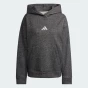 Кофта Adidas W ALL SZN HL HD, фото 7 - інтернет магазин MEGASPORT