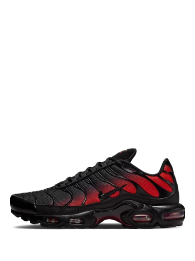 Кросівки Nike AIR MAX PLUS OG - 175618, фото 1 - інтернет-магазин MEGASPORT