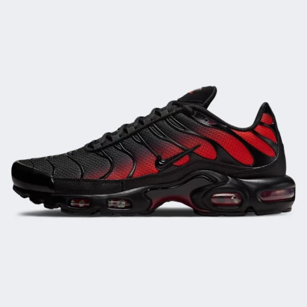 Кросівки Nike AIR MAX PLUS OG - 175618, фото 1 - інтернет-магазин MEGASPORT