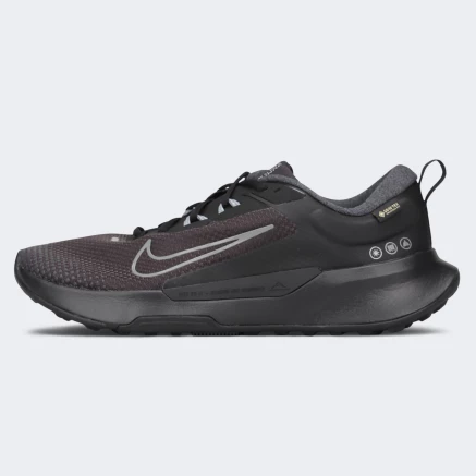 Кросівки Nike JUNIPER TRAIL 2 GTX V2 - 175209, фото 1 - інтернет-магазин MEGASPORT