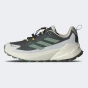 Кросівки Adidas TERREX TRAILMAKER 2 GTX, фото 1 - інтернет магазин MEGASPORT
