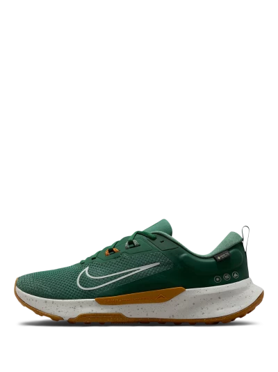 Кросівки Nike JUNIPER TRAIL 2 GTX V2 - 174823, фото 1 - інтернет-магазин MEGASPORT