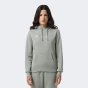 Кофта Champion hooded sweatshirt, фото 1 - інтернет магазин MEGASPORT