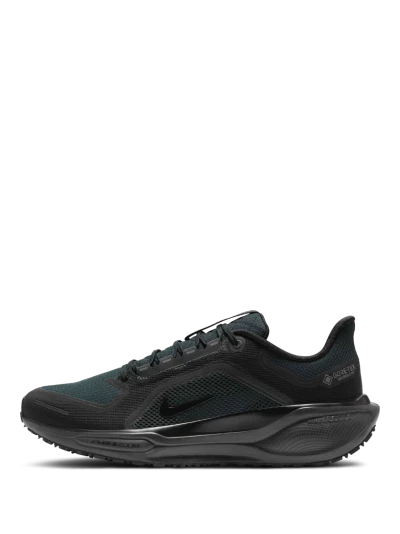 Кросівки Nike AIR ZM PEGASUS 41 GTX - 176442, фото 1 - інтернет-магазин MEGASPORT