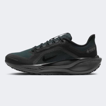Кросівки Nike AIR ZM PEGASUS 41 GTX - 176442, фото 1 - інтернет-магазин MEGASPORT
