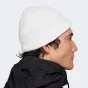 Шапка Nike U NK TERRA BEANIE SC FUT365 L, фото 2 - інтернет магазин MEGASPORT