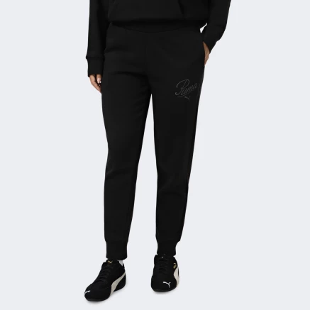 Спортивнi штани Puma ESS SCRIPT Sweatpants FL cl - 175749, фото 1 - інтернет-магазин MEGASPORT