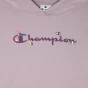 Кофта Champion hooded sweatshirt, фото 3 - інтернет магазин MEGASPORT