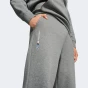 Спортивнi штани Puma BMW MMS ESS+ PANTS FLEECE, фото 5 - інтернет магазин MEGASPORT