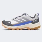 Кросівки Adidas TERREX SKYCHASER AX, фото 1 - інтернет магазин MEGASPORT