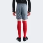 Шорти Nike K NK DF ACD25 SHORT K 7IN -PD, фото 2 - інтернет магазин MEGASPORT