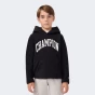 Кофта Champion hooded top, фото 1 - інтернет магазин MEGASPORT