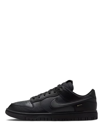 Кеди Nike DUNK LOW GTX - 176727, фото 1 - інтернет-магазин MEGASPORT