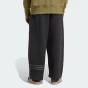 Спортивнi штани Adidas Originals NC LO PANTS, фото 2 - інтернет магазин MEGASPORT