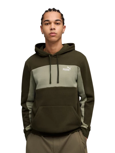 Кофта Puma ESS BLOCK Hoodie FL - 175160, фото 1 - інтернет-магазин MEGASPORT