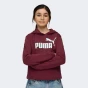 Кофта Puma ESS No. 1 Logo Hoodie FL G, фото 1 - інтернет магазин MEGASPORT