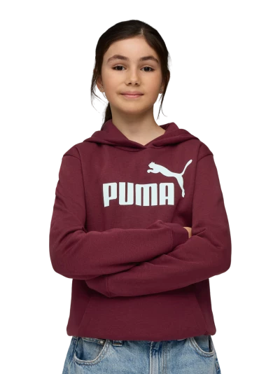 Кофта Puma ESS No. 1 Logo Hoodie FL G - 175588, фото 1 - інтернет-магазин MEGASPORT