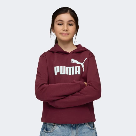 Кофта Puma ESS No. 1 Logo Hoodie FL G - 175588, фото 1 - інтернет-магазин MEGASPORT