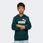 Кофта Puma ESS No. 1 Logo Hoodie FL B, фото 1 - інтернет магазин MEGASPORT