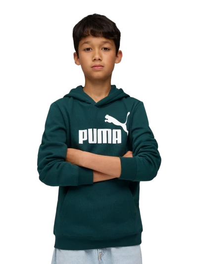 Кофта Puma ESS No. 1 Logo Hoodie FL B - 175591, фото 1 - інтернет-магазин MEGASPORT