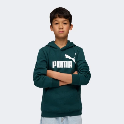 Кофта Puma ESS No. 1 Logo Hoodie FL B - 175591, фото 1 - інтернет-магазин MEGASPORT