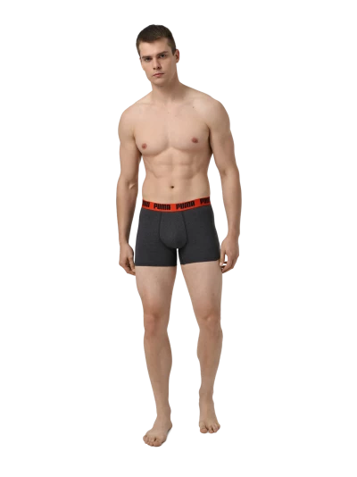 Спідня білизна Puma MEN LOGO PRINT BOXERS 2P - 176250, фото 1 - інтернет-магазин MEGASPORT