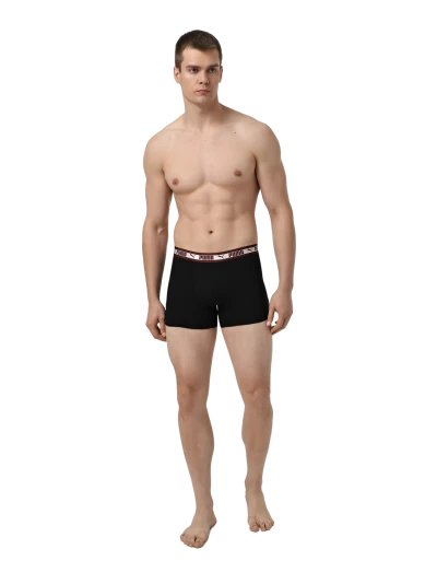 Спідня білизна Puma MEN CHROMATIC WAISTBAND BOXERS 2P - 176249, фото 1 - інтернет-магазин MEGASPORT