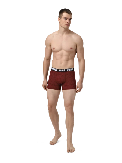 Спідня білизна Puma MEN LOGO PRINT BOXERS 2P - 176251, фото 1 - інтернет-магазин MEGASPORT
