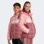 Куртка Adidas J SD JKT, фото 1 - інтернет магазин MEGASPORT