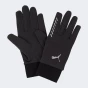 Рукавички Puma PR Winter Gloves, фото 1 - інтернет магазин MEGASPORT