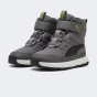 Черевики Puma Evolve Boot AC+ PS, фото 2 - інтернет магазин MEGASPORT