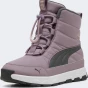 Черевики Puma Evolve Boot Jr, фото 5 - інтернет магазин MEGASPORT