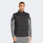 Куртка-жилет Puma teamLIGA Vest Jacket, фото 1 - інтернет магазин MEGASPORT