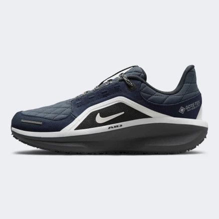 Кросівки Nike W AIR WINFLO 11 GTX - 176924, фото 1 - інтернет-магазин MEGASPORT