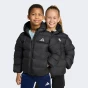 Куртка Adidas LK SD JKT, фото 1 - інтернет магазин MEGASPORT