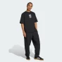 Футболка Adidas Originals GRAPHIC OS SS T, фото 3 - інтернет магазин MEGASPORT