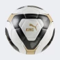 М'яч Puma KING ball, фото 1 - інтернет магазин MEGASPORT