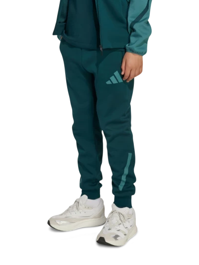 Спортивнi штани Adidas J Z.N.E. PT - 174964, фото 1 - інтернет-магазин MEGASPORT